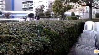 小鱼啪啪4b